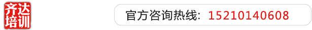 17c啊啊啊啊齐达艺考文化课-艺术生文化课,艺术类文化课,艺考生文化课logo